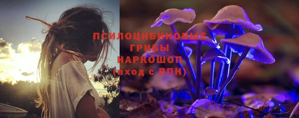ПСИЛОЦИБИНОВЫЕ ГРИБЫ Карталы
