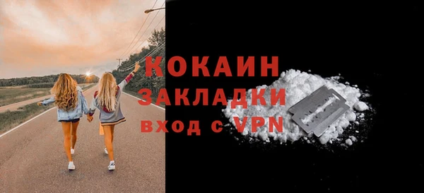 ПСИЛОЦИБИНОВЫЕ ГРИБЫ Карталы
