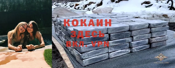 ПСИЛОЦИБИНОВЫЕ ГРИБЫ Карталы