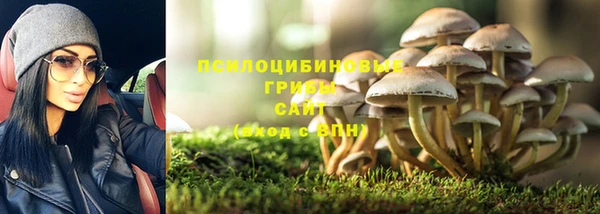 ПСИЛОЦИБИНОВЫЕ ГРИБЫ Карталы