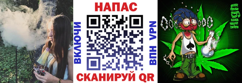 Купить где  Губаха  Конопля гибрид 
